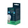 LED Bulbs - Golf E27 - Samsung - IP20 - White - 4.5 Watts - 470 Lumens - 6500K - 5 Years