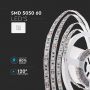 LED Strip Lights - Striplights - 5050 - 60 - IP20 - 6500K - Price/1m (5m Roll)