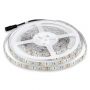 LED Strip Lights - Striplights - 5050 - 60 - IP65 - 6500K - Price/1m (5m Roll)