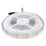 LED Strip Lights - Striplights - 5050 - 60 - IP65 - 3000K - Price/1m (5m Roll)