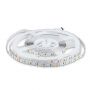 LED Strip Lights - Striplights 5050 - 60 - IP20 - RGB+6400K - Price/1m (5m Roll)