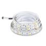 LED Strip Lights - Striplights 5050 - 60 - IP20 - RGB+6400K - Price/1m (5m Roll)