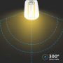 LED Bulbs - ST26 E14 - IP20 - Transparent - 2 Watts - 200 Lumens - 3000K - 2 Years