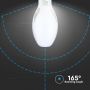 E27 Olive LED Bulbs - Samsung - IP20 - White - 36W - 3960 Lumens - 4000K