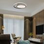 Designer Ceiling Lights - IP20 - Black Body - 24 Watts - 2560 Lumens - 4000K