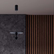 Designer Ceiling Lights - Designer Hanging Lights - IP20 - Black Body - 9 Watts - 1000 Lumens - 3000K